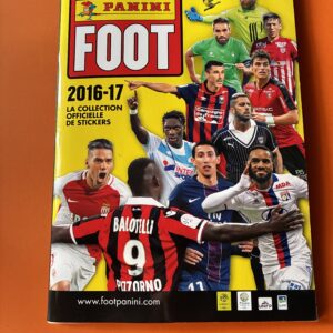 Foot 2016/17 panini